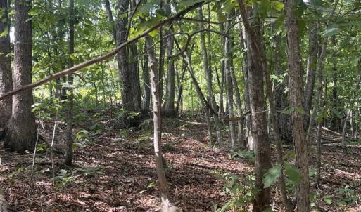 Photo #7 of Bibee Rd, Pittsville, VA 2.2 acres