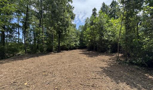 Photo #10 of Watt Abbitt Road, Appomattox, VA 42.7 acres