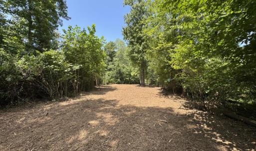 Photo #11 of Watt Abbitt Road, Appomattox, VA 42.7 acres