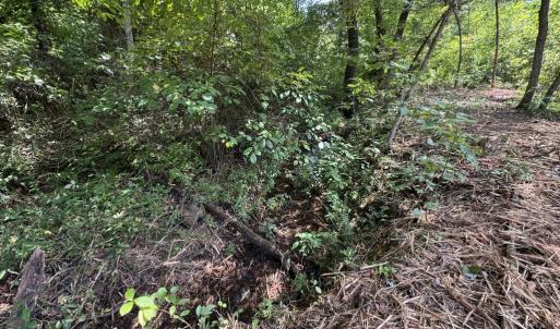 Photo #13 of Watt Abbitt Road, Appomattox, VA 42.7 acres
