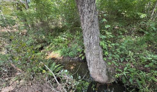 Photo #14 of Watt Abbitt Road, Appomattox, VA 42.7 acres