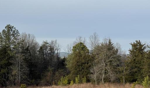 Photo #19 of Watt Abbitt Road, Appomattox, VA 42.7 acres