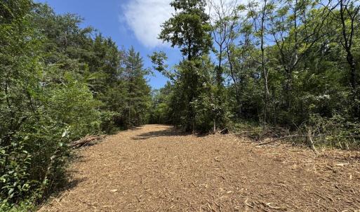 Photo #3 of Watt Abbitt Road, Appomattox, VA 42.7 acres