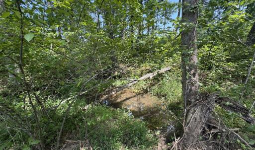 Photo #5 of Watt Abbitt Road, Appomattox, VA 42.7 acres