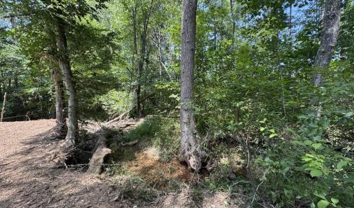 Photo #6 of Watt Abbitt Road, Appomattox, VA 42.7 acres