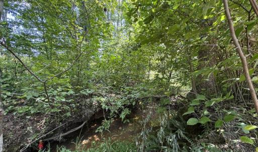 Photo #8 of Watt Abbitt Road, Appomattox, VA 42.7 acres