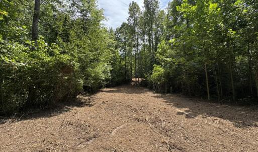 Photo #9 of Watt Abbitt Road, Appomattox, VA 42.7 acres