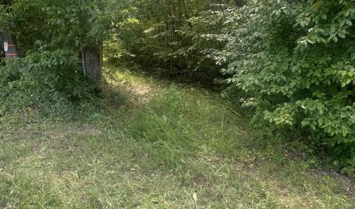Photo #2 of Twenty- Two Road, Pamplin, VA 5.0 acres