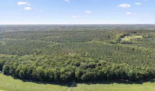 Photo #11 of Algerene Rd, Drakes Branch, VA 104.8 acres