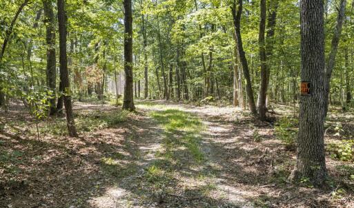Photo #4 of Algerene Rd, Drakes Branch, VA 104.8 acres
