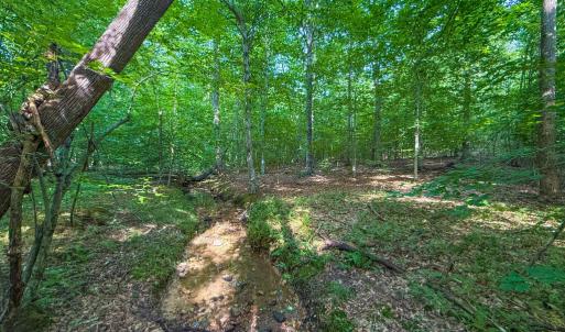 Photo #10 of 55 Mecklenburg Street, Victoria, VA 55.5 acres