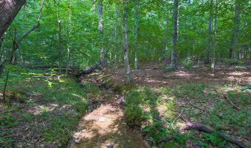 Photo #11 of 55 Mecklenburg Street, Victoria, VA 55.5 acres