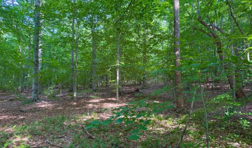 Photo #12 of 55 Mecklenburg Street, Victoria, VA 55.5 acres