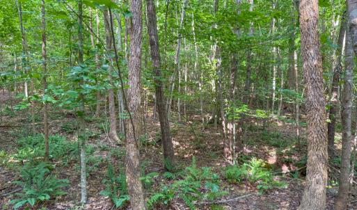 Photo #13 of 55 Mecklenburg Street, Victoria, VA 55.5 acres