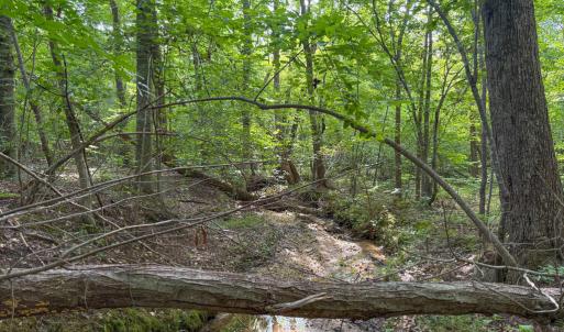 Photo #3 of 55 Mecklenburg Street, Victoria, VA 55.5 acres