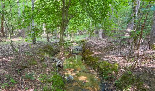 Photo #4 of 55 Mecklenburg Street, Victoria, VA 55.5 acres