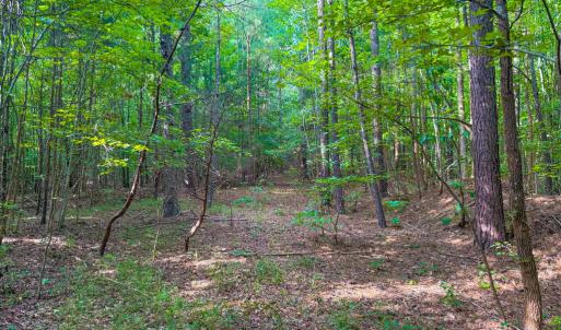 Photo #5 of 55 Mecklenburg Street, Victoria, VA 55.5 acres