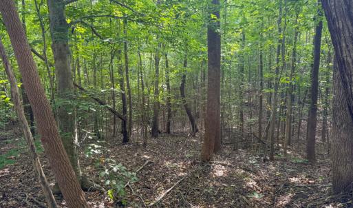 Photo #7 of 55 Mecklenburg Street, Victoria, VA 55.5 acres