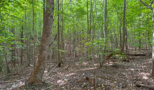 Photo #8 of 55 Mecklenburg Street, Victoria, VA 55.5 acres