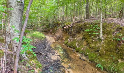 Photo #9 of 55 Mecklenburg Street, Victoria, VA 55.5 acres
