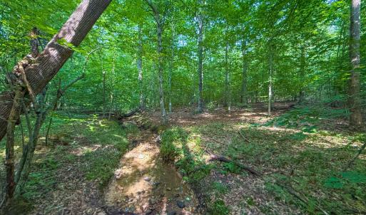 Photo #10 of 55 Mecklenburg Street, Victoria, VA 55.5 acres