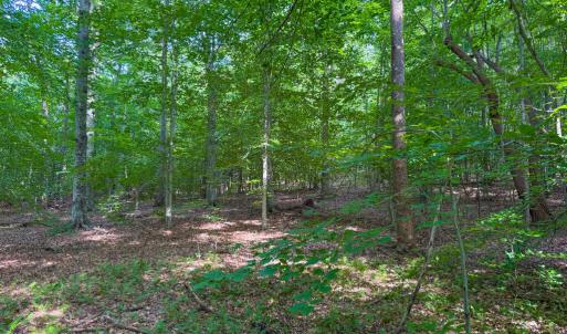Photo #12 of 55 Mecklenburg Street, Victoria, VA 55.5 acres
