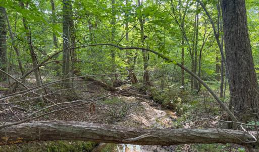 Photo #3 of 55 Mecklenburg Street, Victoria, VA 55.5 acres