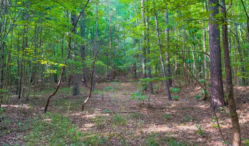 Photo #5 of 55 Mecklenburg Street, Victoria, VA 55.5 acres