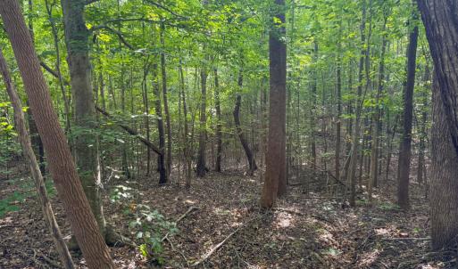 Photo #7 of 55 Mecklenburg Street, Victoria, VA 55.5 acres