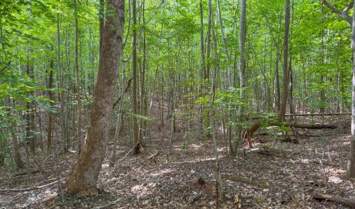 Photo #8 of 55 Mecklenburg Street, Victoria, VA 55.5 acres