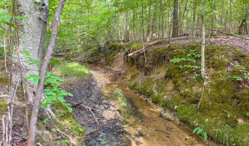 Photo #9 of 55 Mecklenburg Street, Victoria, VA 55.5 acres