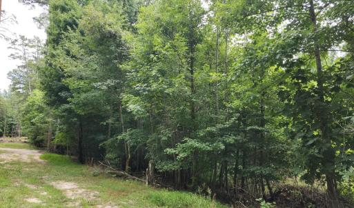 Photo #2 of Chestnut Road, Nathalie, VA 53.3 acres