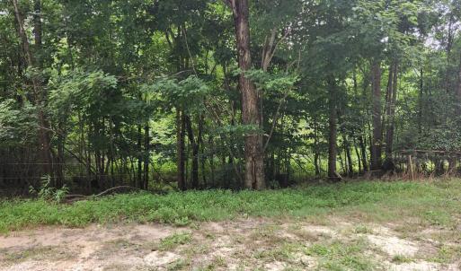 Photo #4 of Chestnut Road, Nathalie, VA 53.3 acres