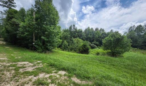 Photo #5 of Chestnut Road, Nathalie, VA 53.3 acres