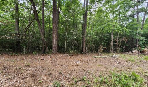Photo #6 of Chestnut Road, Nathalie, VA 53.3 acres