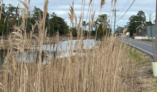 Photo #2 of MAIN ST, CHINCOTEAGUE, VA 0.4 acres