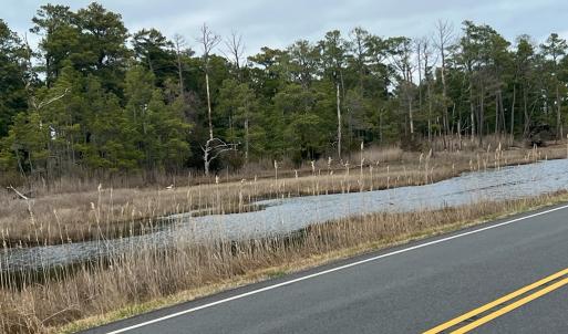 Photo #3 of MAIN ST, CHINCOTEAGUE, VA 0.4 acres