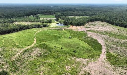 Photo #10 of 175 AC Tomlinson Road, Victoria, VA 175.0 acres