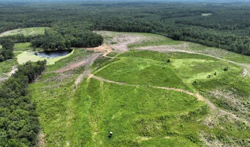 Photo #11 of 175 AC Tomlinson Road, Victoria, VA 175.0 acres