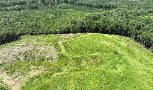 Photo #13 of 175 AC Tomlinson Road, Victoria, VA 175.0 acres