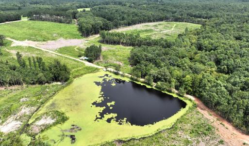 Photo #14 of 175 AC Tomlinson Road, Victoria, VA 175.0 acres