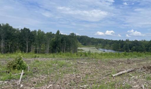Photo #18 of 175 AC Tomlinson Road, Victoria, VA 175.0 acres