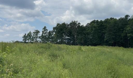 Photo #19 of 175 AC Tomlinson Road, Victoria, VA 175.0 acres