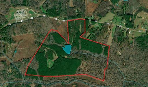 Photo #2 of 175 AC Tomlinson Road, Victoria, VA 175.0 acres