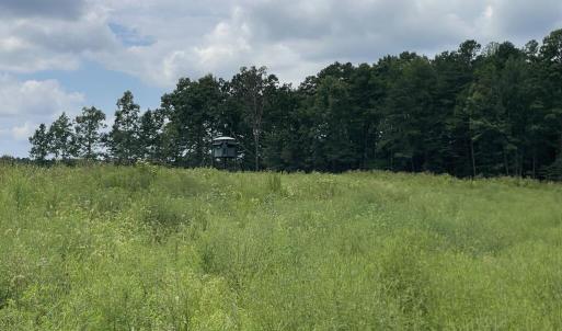 Photo #20 of 175 AC Tomlinson Road, Victoria, VA 175.0 acres
