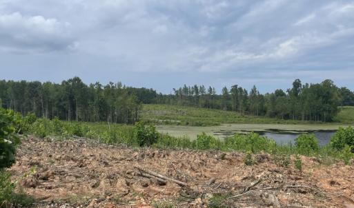Photo #21 of 175 AC Tomlinson Road, Victoria, VA 175.0 acres