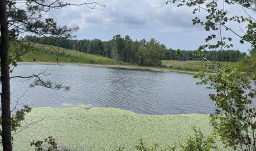 Photo #22 of 175 AC Tomlinson Road, Victoria, VA 175.0 acres