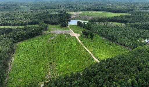 Photo #3 of 175 AC Tomlinson Road, Victoria, VA 175.0 acres