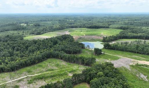 Photo #4 of 175 AC Tomlinson Road, Victoria, VA 175.0 acres