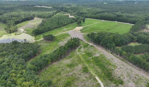 Photo #5 of 175 AC Tomlinson Road, Victoria, VA 175.0 acres